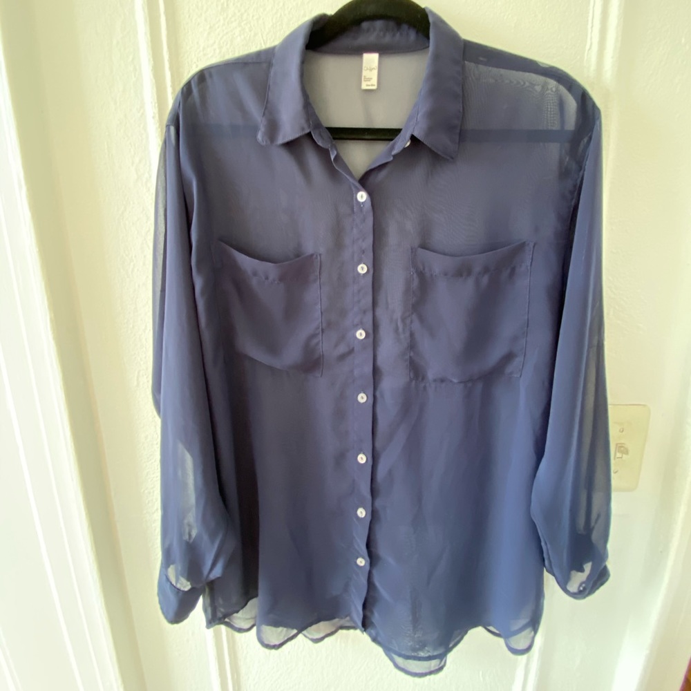 Sheer Long Sleeved Blouse